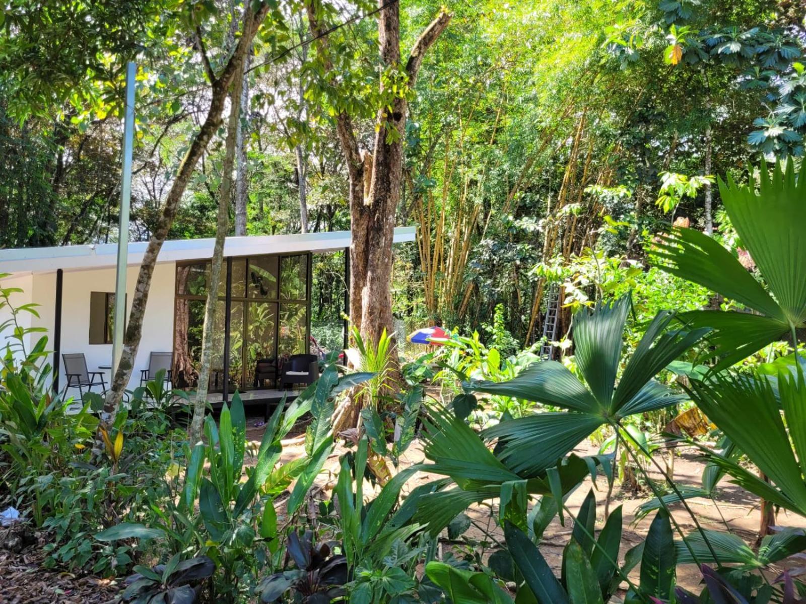 Puerto Jiménez Luba House 빌라 외부 사진